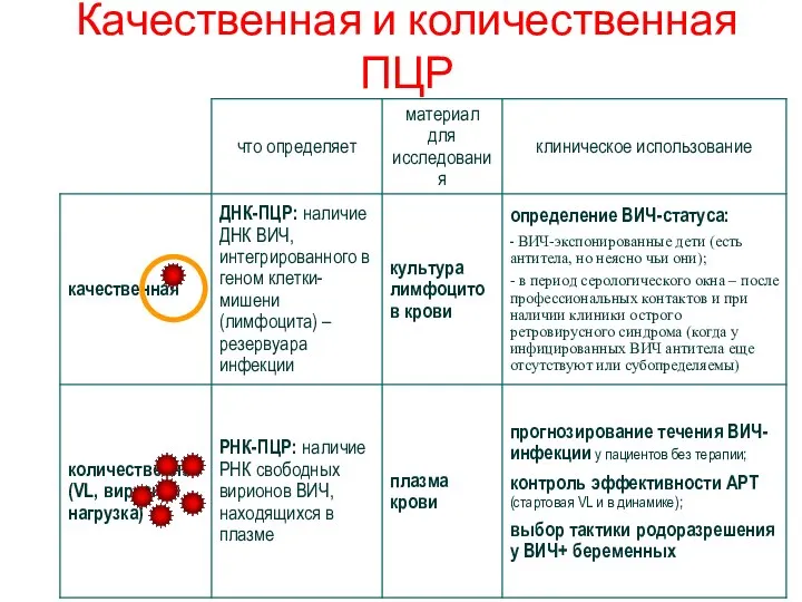 Качественная и количественная ПЦР