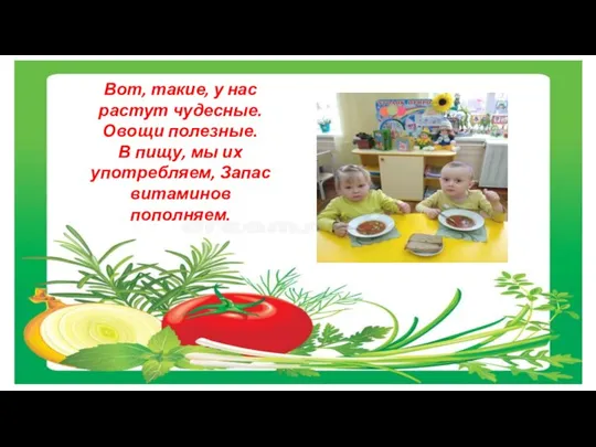 Вот, такие, у нас растут чудесные. Овощи полезные. В пищу, мы их употребляем, Запас витаминов пополняем.