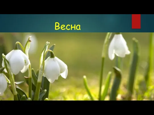 Весна