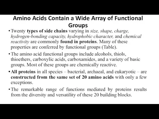Amino Acids Contain a Wide Array of Functional Groups Twenty types of