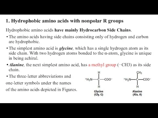 1. Hydrophobic amino acids with nonpolar R groups Hydrophobic amino acids have