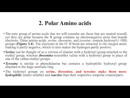 2. Polar Amino acids The next group of amino acids that we