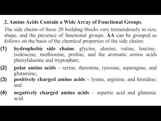 2. Amino Acids Contain a Wide Array of Functional Groups. The side