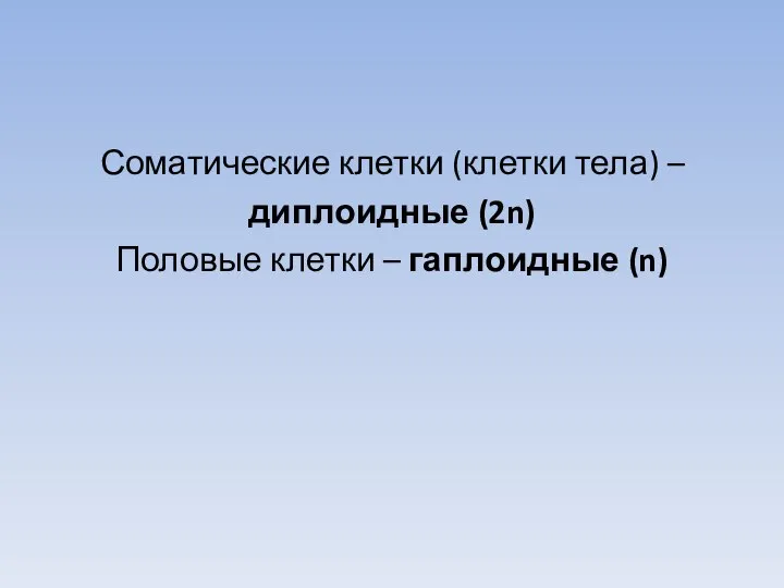 Соматические клетки (клетки тела) – диплоидные (2n) Половые клетки – гаплоидные (n)