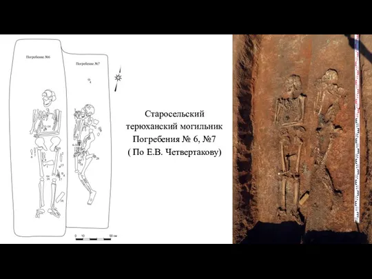 Старосельский терюханский могильник Погребения № 6, №7 ( По Е.В. Четвертакову)