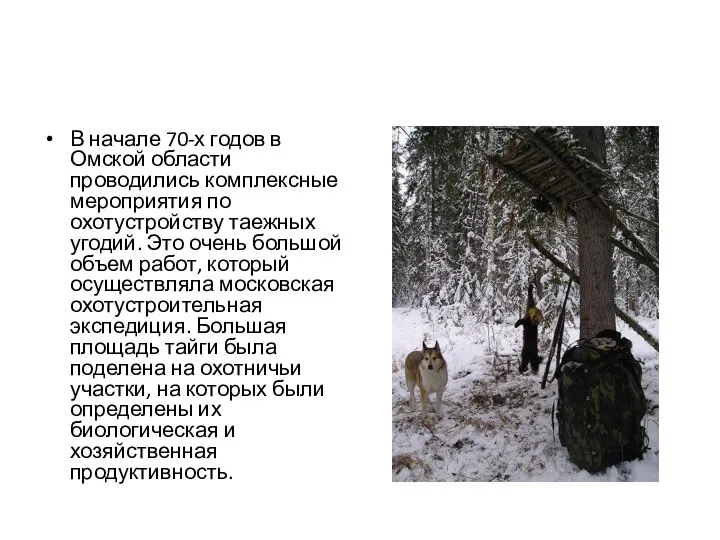В начале 70-х годов в Омской области проводились комплексные мероприятия по охотустройству