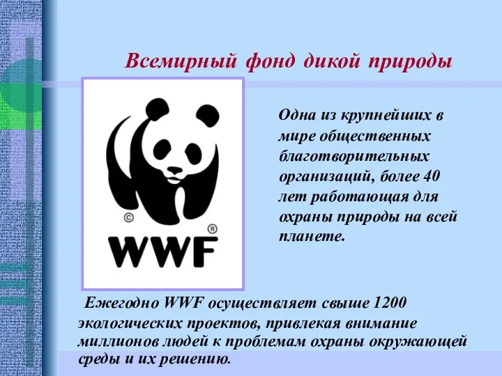 Ежегодно WWF осуществляет свыше 1200 экологических проектов, привлекая внимание миллионов людей к