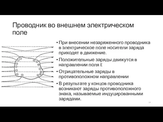 Проводник во внешнем электрическом поле При внесении незаряженного проводника в электрическое поле