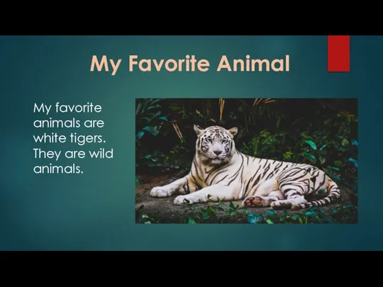 My Favorite Animal My favorite animals are white tigers. They are wild animals.