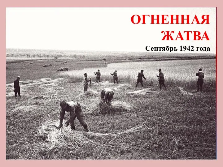 ОГНЕННАЯ ЖАТВА Сентябрь 1942 года