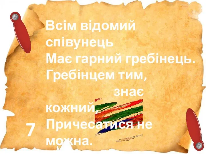 7 Всім відомий співунець Має гарний гребінець. Гребінцем тим, знає кожний, Причесатися не можна.