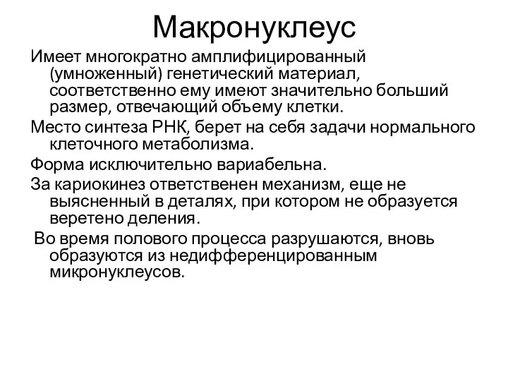 Макронуклеус Имеет многократно амплифицированный (умноженный) генетический материал, соответственно ему имеют значительно больший