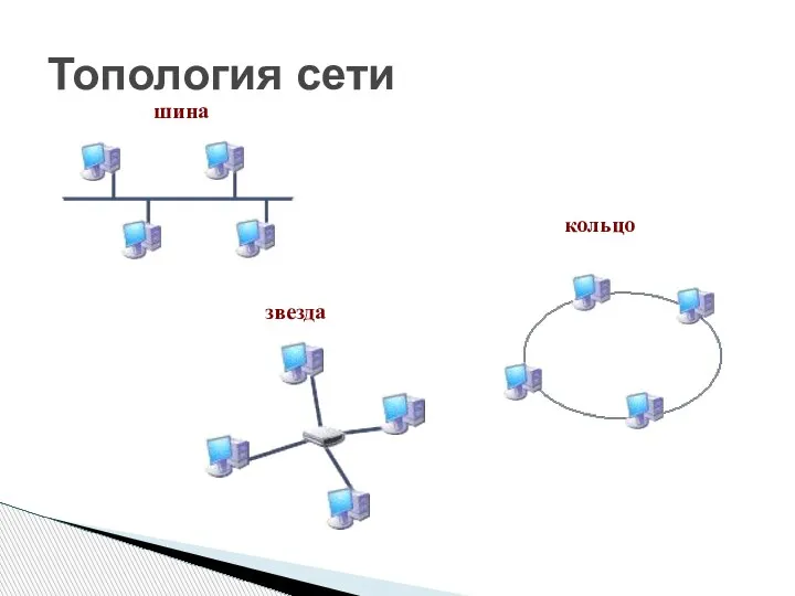 Топология сети шина звезда кольцо