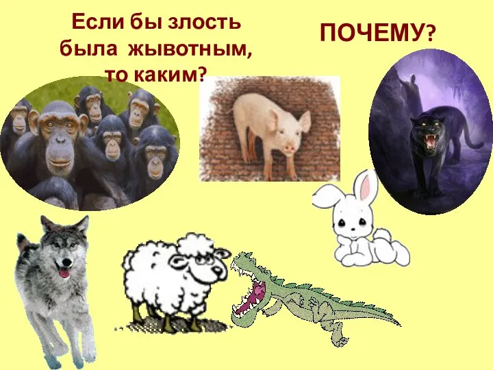 ПОЧЕМУ? Если бы злость была жывотным, то каким?