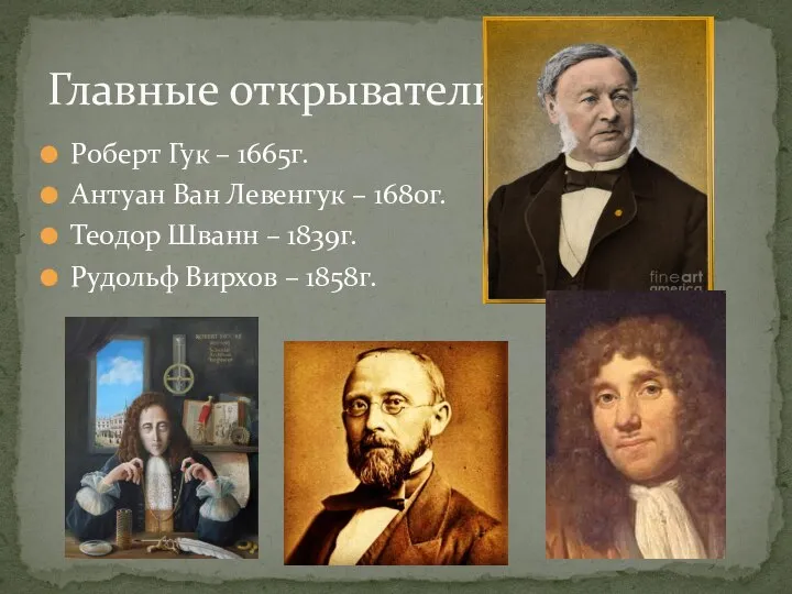 Роберт Гук – 1665г. Антуан Ван Левенгук – 1680г. Теодор Шванн –