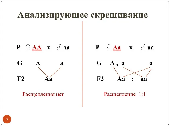 Анализирующее скрещивание Р ♀ АА x ♂ аа G А а F2