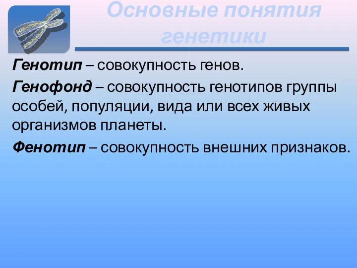 Основные понятия генетики Генотип – совокупность генов. Генофонд – совокупность генотипов группы