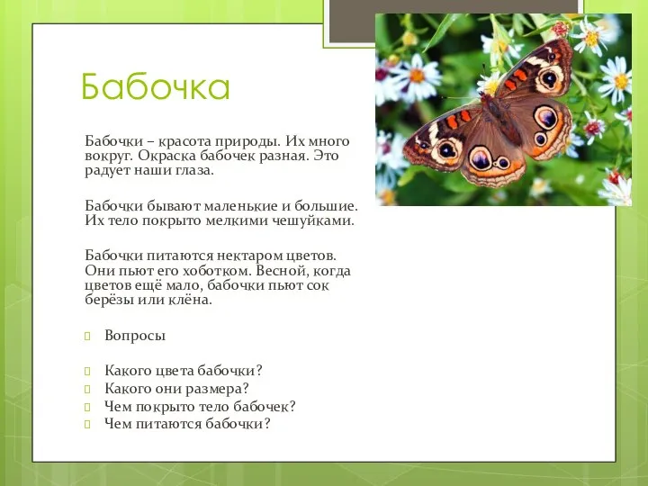 Бабочка Бабочки – красота природы. Их много вокруг. Окраска бабочек разная. Это