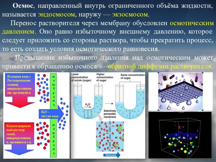 Осмос, направленный внутрь ограниченного объёма жидкости, называется эндосмосом, наружу — экзосмосом. Перенос