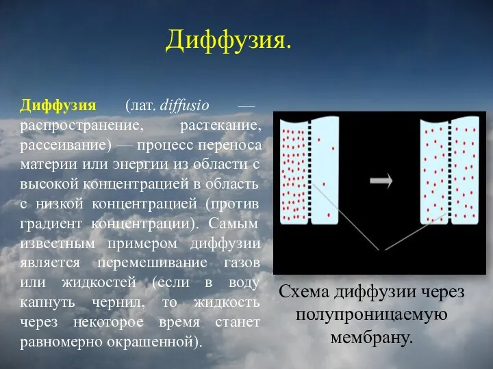 Диффузия. Диффузия. Схема диффузии через полупроницаемую мембрану. Диффузия (лат. diffusio — распространение,