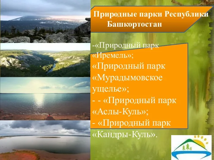 Природные парки Республики Башкортостан -«Природный парк «Иремель»; «Природный парк «Мурадымовское ущелье»; -