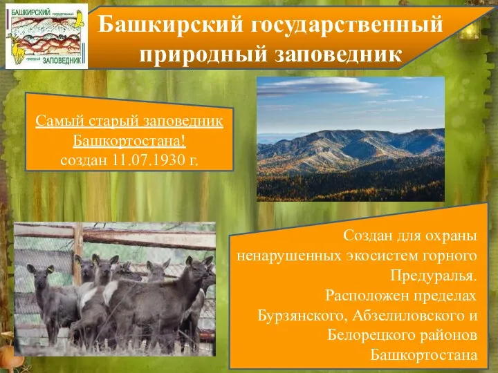 Самый старый заповедник Башкортостана! создан 11.07.1930 г. Создан для охраны ненарушенных экосистем