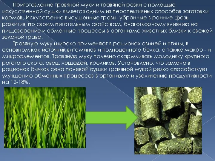 Приготовление травяной муки и травяной резки с помощью искусственной сушки является одним