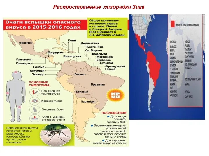 Распространение лихорадки Зика