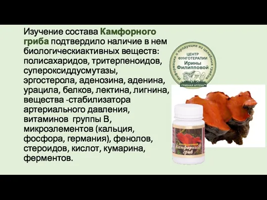 Изучение состава Камфорного гриба подтвердило наличие в нем биологическиактивных веществ: полисахаридов, тритерпеноидов,