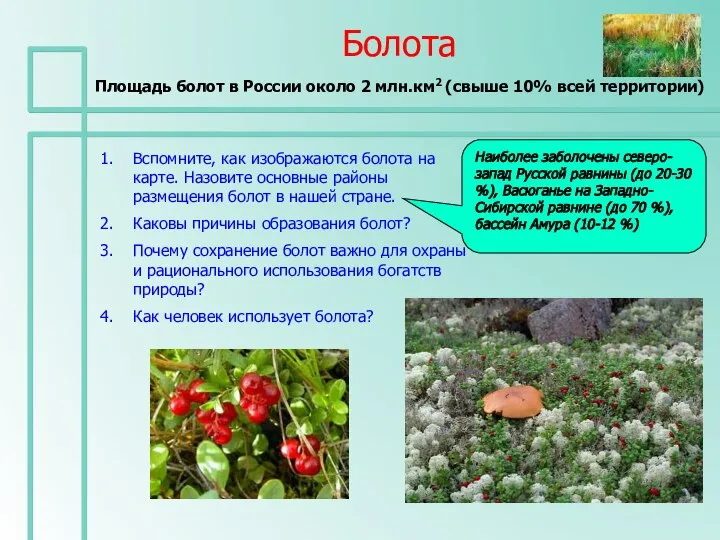 Болота Площадь болот в России около 2 млн.км2 (свыше 10% всей территории)