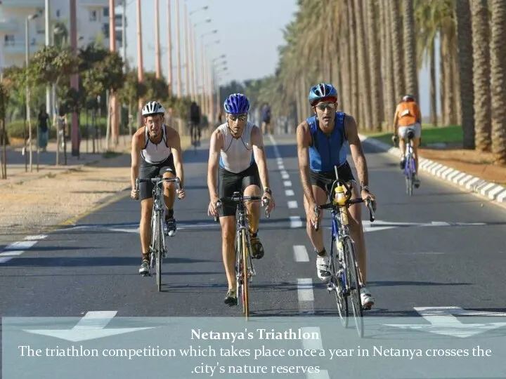 Netanya's Triathlon The triathlon competition which takes place once a year in
