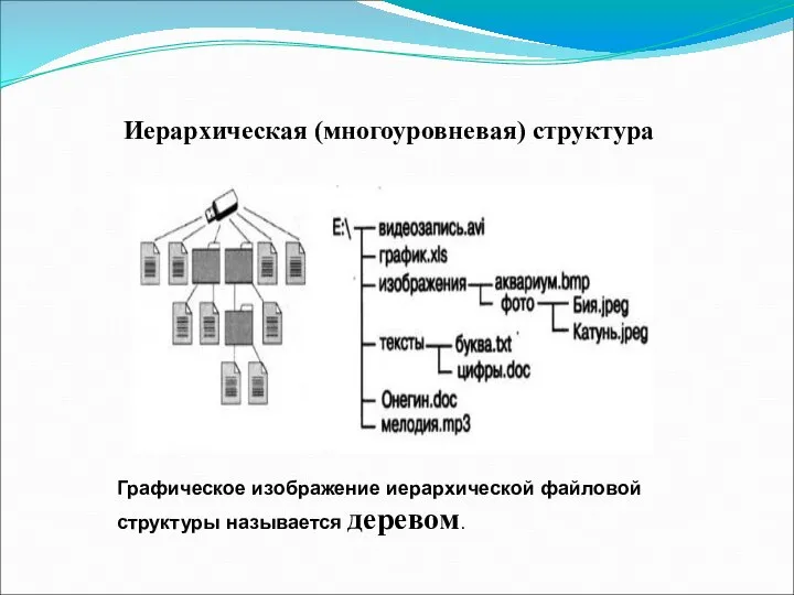 Иерархическая (многоуровневая) структура Графическое изображение иерархической файловой структуры называется деревом.