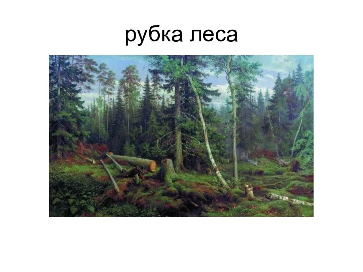 рубка леса