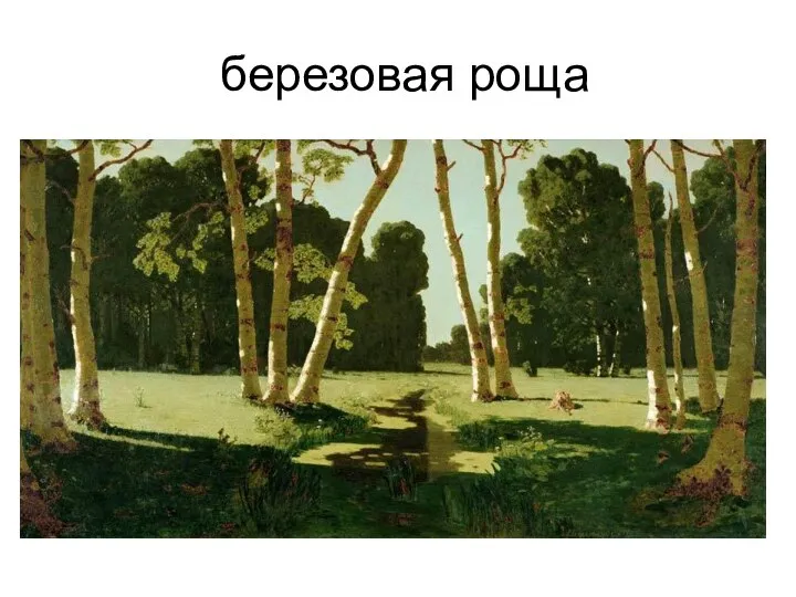 березовая роща