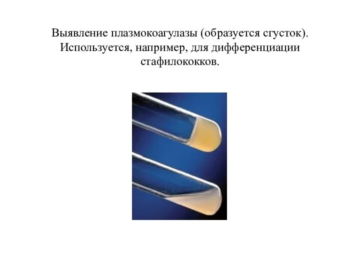 Выявление плазмокоагулазы (образуется сгусток). Используется, например, для дифференциации стафилококков.