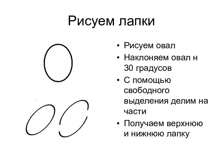 Рисуем лапки Рисуем овал Наклоняем овал н 30 градусов С помощью свободного