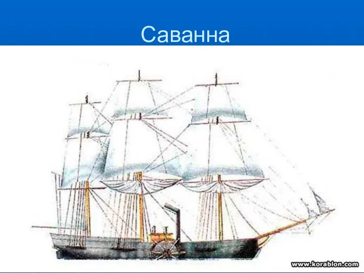 Саванна