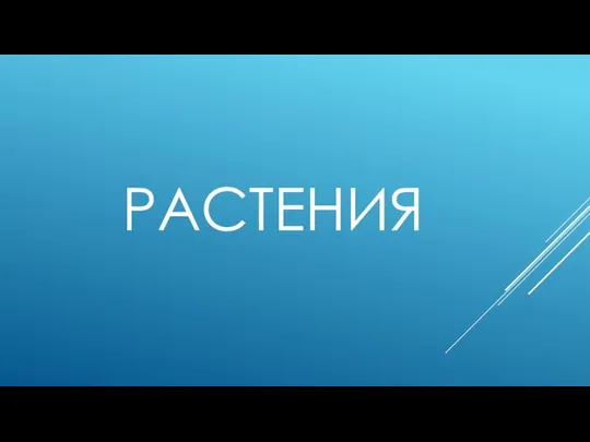 РАСТЕНИЯ