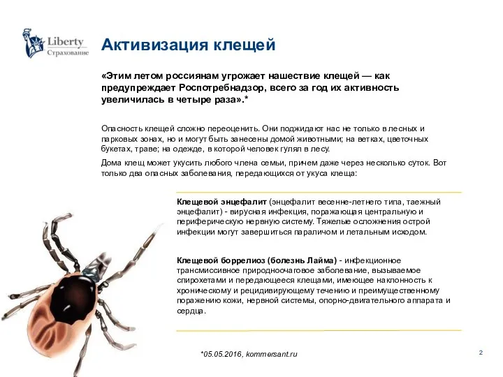Активизация клещей «Этим летом россиянам угрожает нашествие клещей — как предупреждает Роспотребнадзор,
