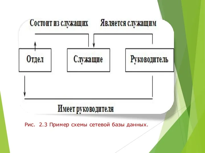 Рис. 2.3 Пример схемы сетевой базы данных.