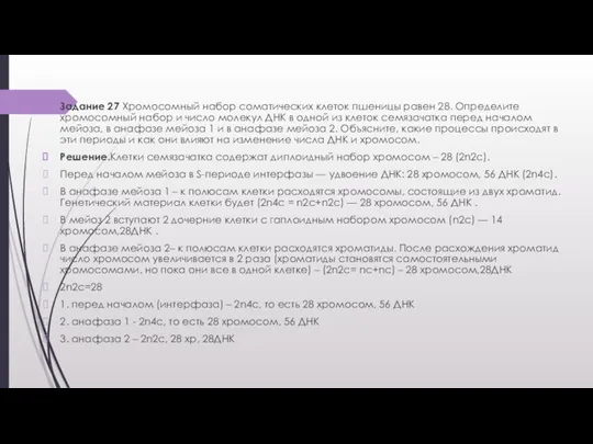 Задание 27 Хромосомный набор соматических клеток пшеницы равен 28. Определите хромосомный набор