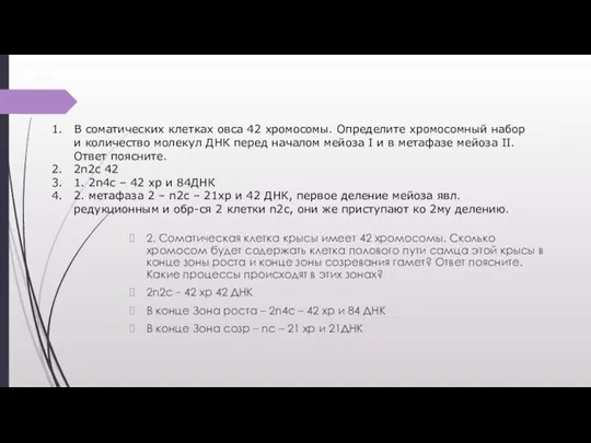 2. Соматическая клетка крысы имеет 42 хромосомы. Сколько хромосом будет содержать клетка