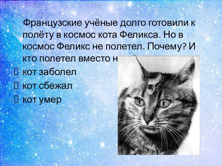 Французские учёные долго готовили к полёту в космос кота Феликса. Но в