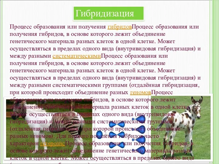 Гибридизация Процесс образования или получения гибридовПроцесс образования или получения гибридов, в основе