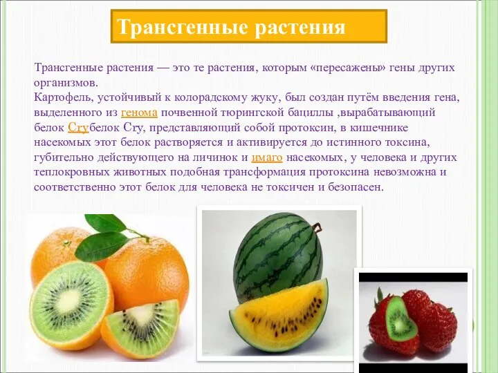 Трансгенные растения Трансгенные растения — это те растения, которым «пересажены» гены других