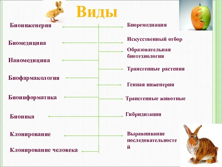 Виды Биоинженерия Биомедицина Наномедицина Биофармакология Биоинформатика Бионика Выравнивание последовательностей Биоремедиация Искусственный отбор