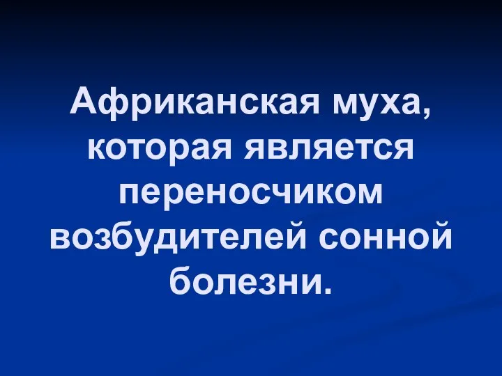 Африканская муха, которая является переносчиком возбудителей сонной болезни.