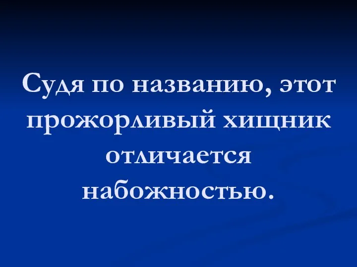 Судя по названию, этот прожорливый хищник отличается набожностью.