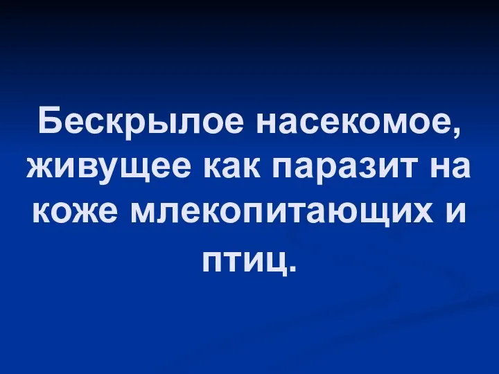 Бескрылое насекомое, живущее как паразит на коже млекопитающих и птиц.