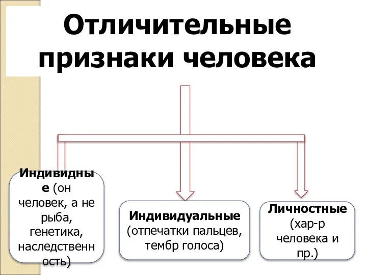 Отличительные признаки человека